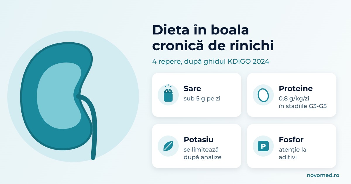 Ilustrație schematică: un rinichi stilizat alături de patru repere ale dietei în boala cronică de rinichi: sare sub 5 g pe zi, proteine 0,8 g/kg pe zi în stadiile G3-G5, potasiu limitat după analize și fosfor, cu atenție la aditivi.