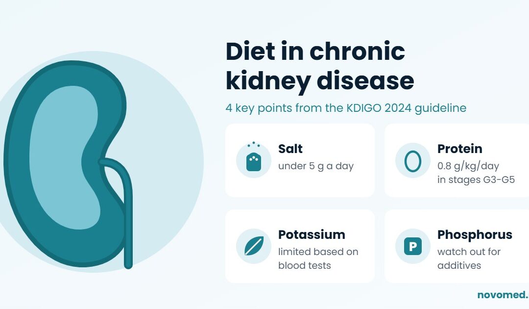 Diet in chronic kidney disease: which foods are allowed and what to limit
