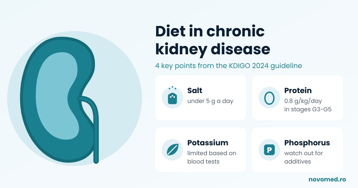 Diet in chronic kidney disease: which foods are allowed and what to limit