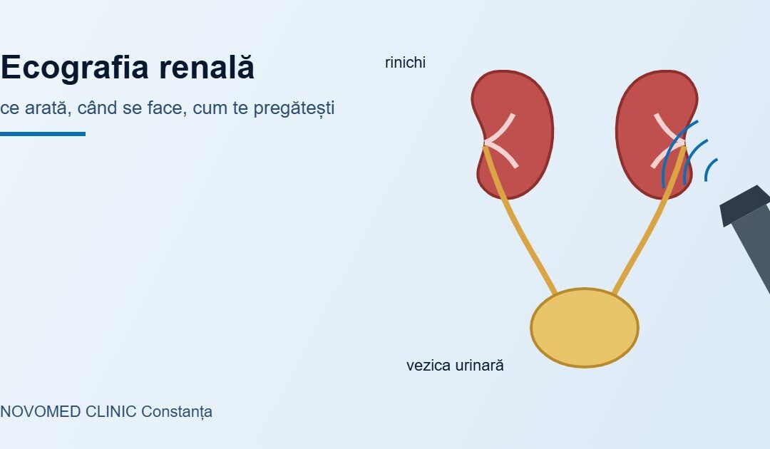 Ecografia renală: ce arată, când se face și cum te pregătești