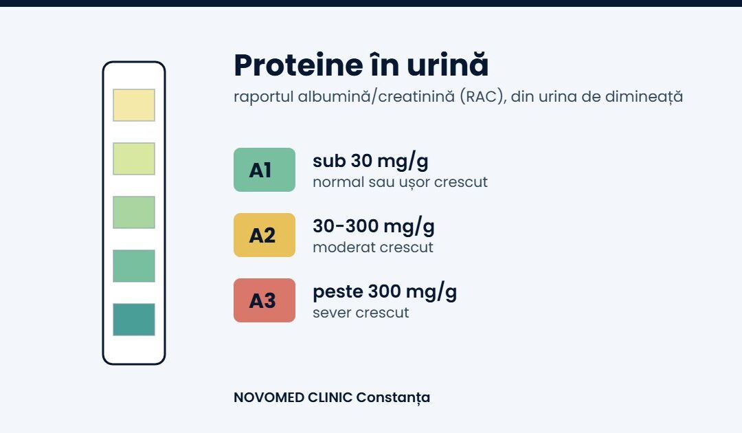 Proteine în urină (proteinurie): ce înseamnă rezultatul și ce analize urmează